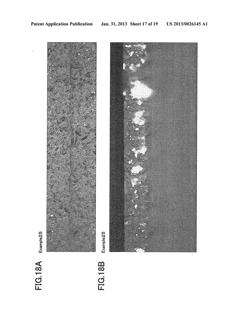 LASER DICING METHOD - diagram, schematic, and image 18