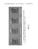 INDEX OF REFRACTION MATCHED NANOPARTICLES AND METHODS OF USE diagram and image