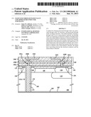 PASSIVATED THROUGH WAFER VIAS IN LOW-DOPED SEMICONDUCTOR SUBSTRATES diagram and image