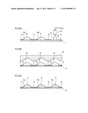 BLACK CURABLE COMPOSITION, LIGHT-SHIELDING COLOR FILTER FOR A SOLID-STATE     IMAGING DEVICE AND METHOD OF PRODUCING THE SAME, SOLID-STATE IMAGING     DEVICE, WAFER LEVEL LENS, AND CAMERA MODULE diagram and image