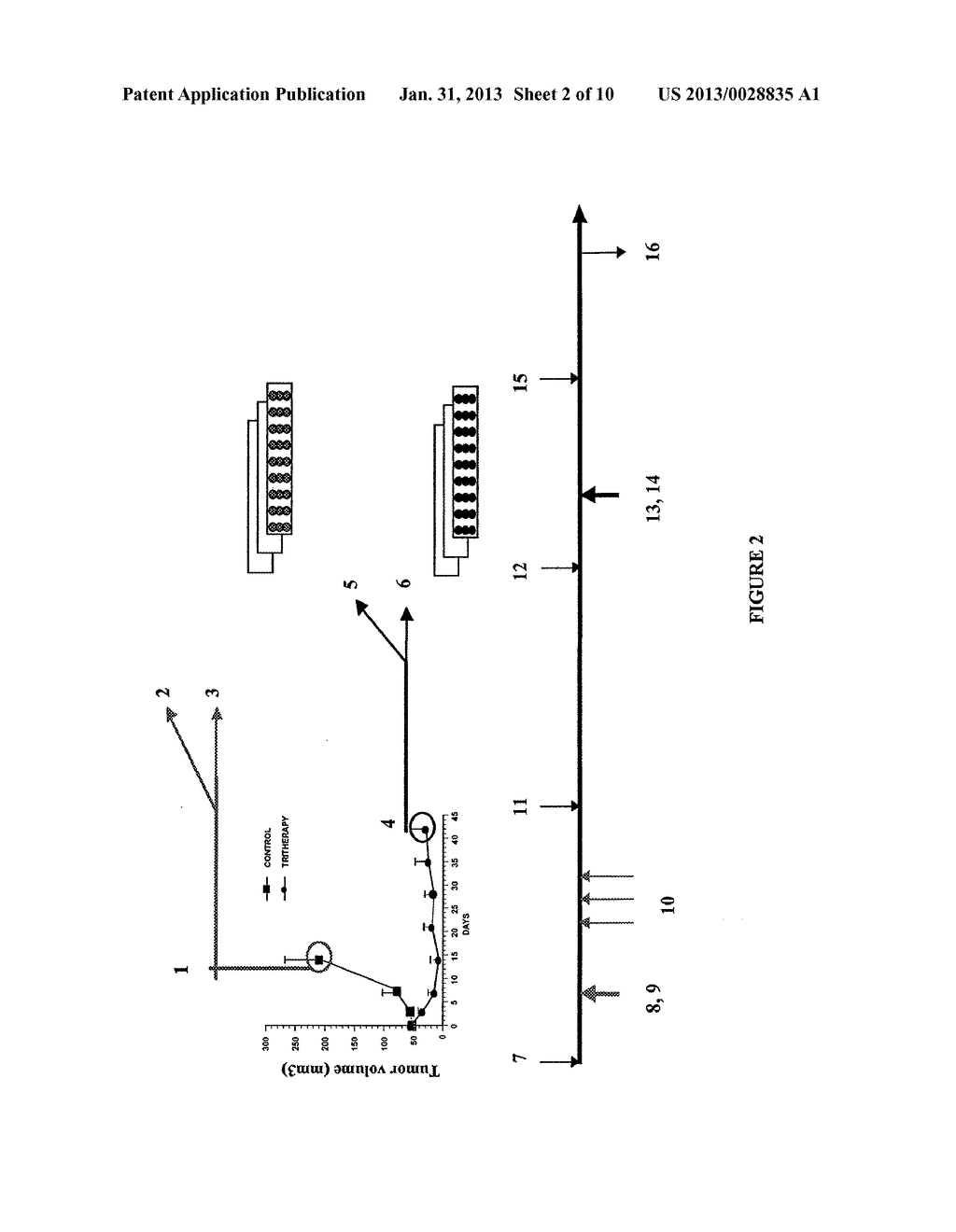 METHOD FOR GENERATING ACTIVE ANTIBODIES AGAINST A RESISTANCE ANTIGEN,     ANTIBODIES OBTAINED BY SAID METHOD AND THEIR USES - diagram, schematic, and image 03