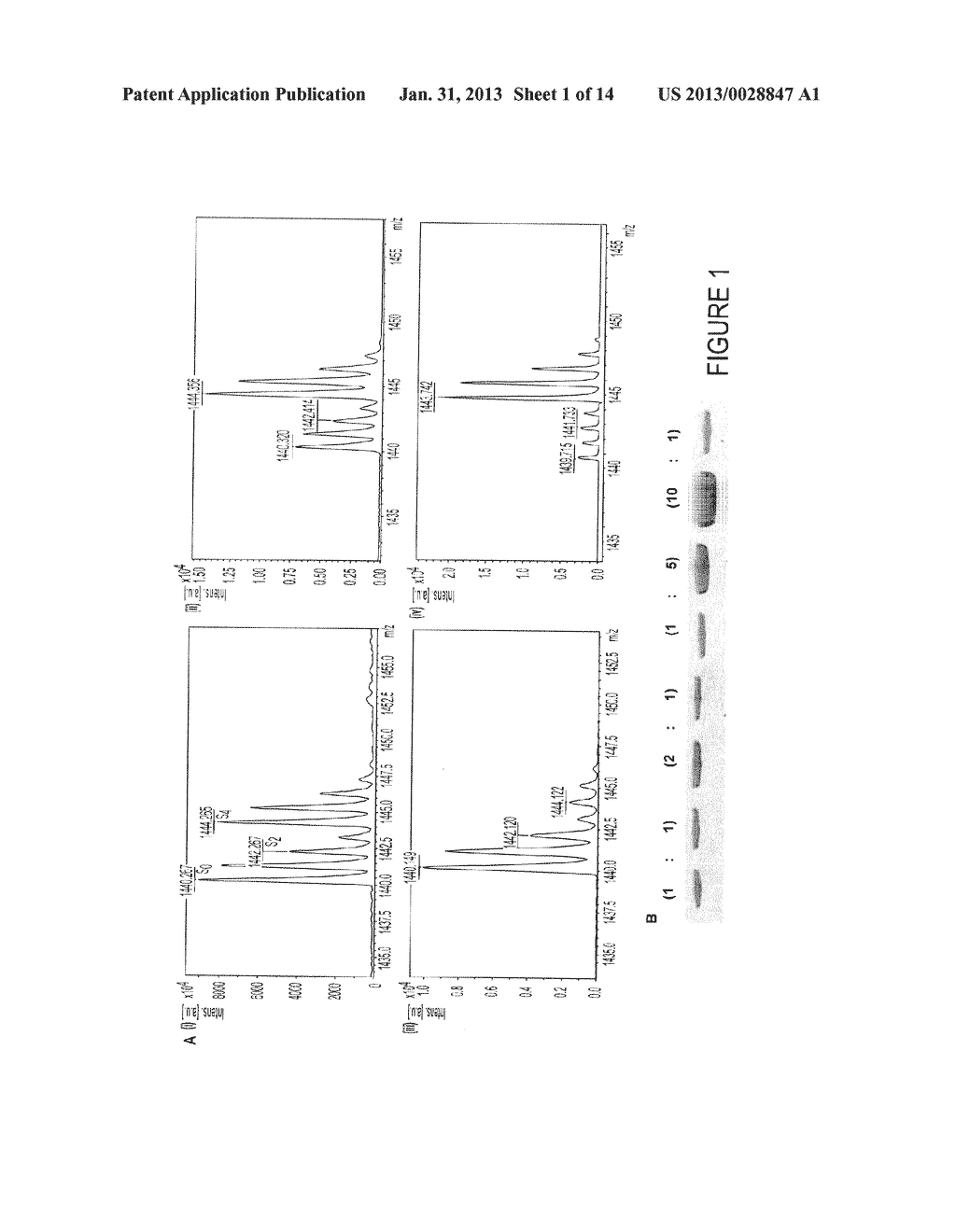 BIOFILM TREATMENT - diagram, schematic, and image 02