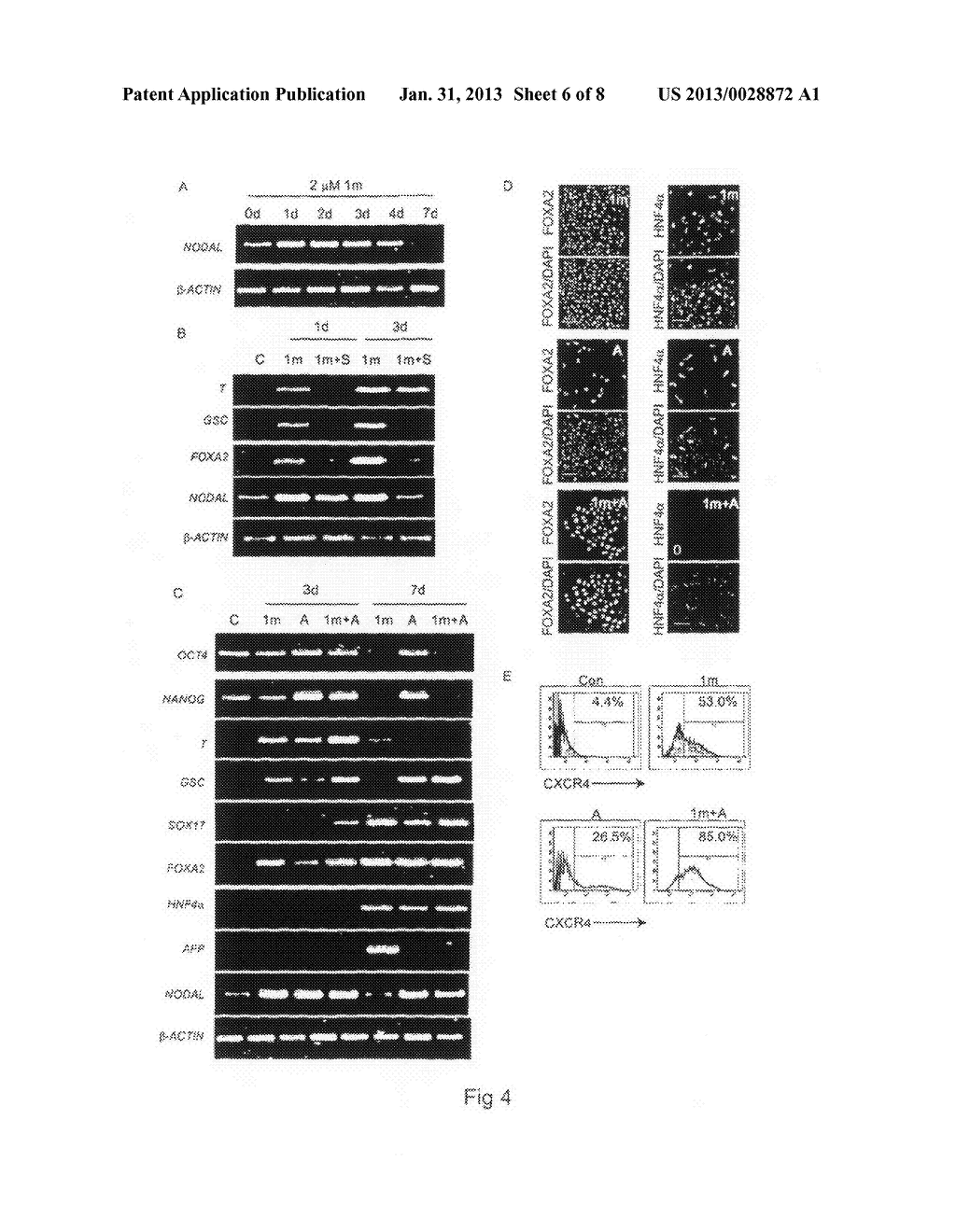 COMPOSITION AND METHOD FOR DIFFERENTIATION OF HUMAN EMBRYONIC STEM CELLS - diagram, schematic, and image 07