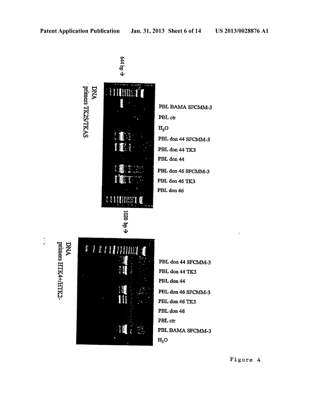 THYMIDINE KINASE - diagram, schematic, and image 07