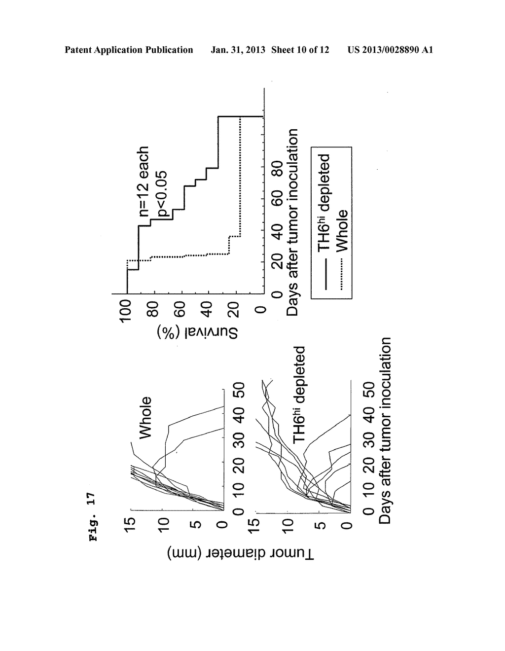 METHOD FOR DETECTING REGULATORY T CELLS USING EXPRESSION OF FOLATE     RECEPTOR 4 AS INDICATOR, METHOD FOR TREATING DISEASES USING THE DETECTION     METHOD, PHARMACEUTICAL COMPOSITION FOR IMMUNOSTIMULATION, AND METHOD FOR     TREATING DISEASES USING THE COMPOSITION - diagram, schematic, and image 11