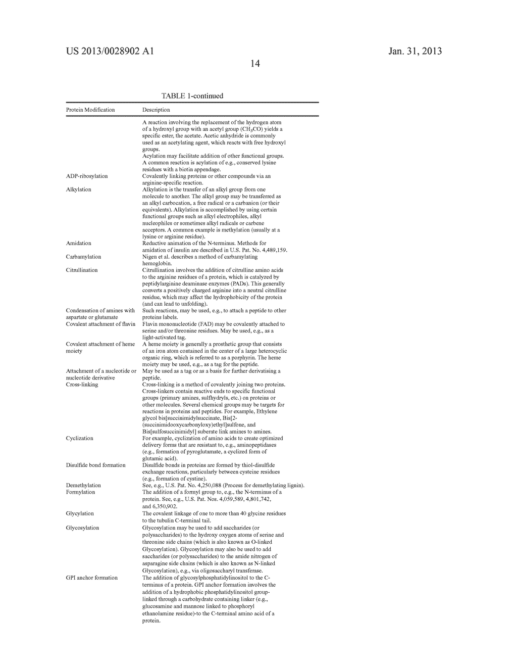 OSTEOCALCIN AS A TREATMENT FOR MALE REPRODUCTIVE DISORDERS - diagram, schematic, and image 39