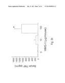 HMG1 ANTIBODY FOR TREATING INFLAMMATORY CONDITIONS diagram and image