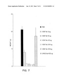 VASCULAR ENDOTHELIAL CELL GROWTH FACTOR ANTAGONISTS diagram and image