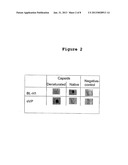 ANTIBODY THAT BINDS TO H-1 PARVOVIRUS diagram and image