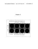 ANTIBODY THAT BINDS TO H-1 PARVOVIRUS diagram and image