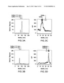 BIOSYNTHETIC SYSTEM THAT PRODUCES IMMUNOGENIC POLYSACCHARIDES IN     PROKARYOTIC CELLS diagram and image