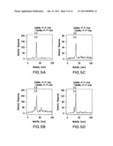 BIOSYNTHETIC SYSTEM THAT PRODUCES IMMUNOGENIC POLYSACCHARIDES IN     PROKARYOTIC CELLS diagram and image