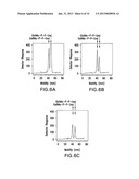 BIOSYNTHETIC SYSTEM THAT PRODUCES IMMUNOGENIC POLYSACCHARIDES IN     PROKARYOTIC CELLS diagram and image