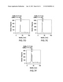 BIOSYNTHETIC SYSTEM THAT PRODUCES IMMUNOGENIC POLYSACCHARIDES IN     PROKARYOTIC CELLS diagram and image