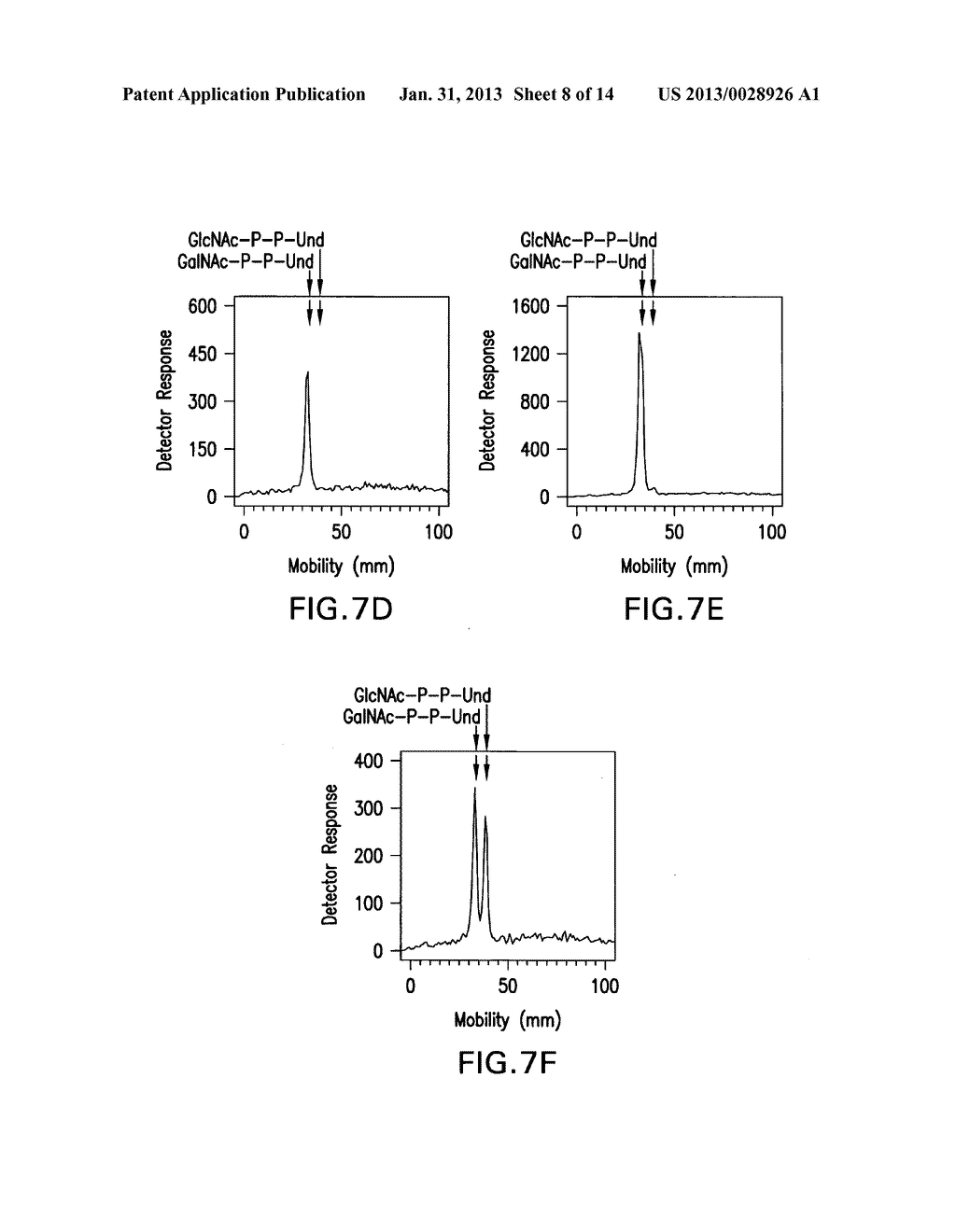 BIOSYNTHETIC SYSTEM THAT PRODUCES IMMUNOGENIC POLYSACCHARIDES IN     PROKARYOTIC CELLS - diagram, schematic, and image 09