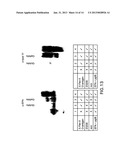 BIOSYNTHETIC SYSTEM THAT PRODUCES IMMUNOGENIC POLYSACCHARIDES IN     PROKARYOTIC CELLS diagram and image