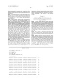 BIOSYNTHETIC SYSTEM THAT PRODUCES IMMUNOGENIC POLYSACCHARIDES IN     PROKARYOTIC CELLS diagram and image