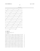 BIOSYNTHETIC SYSTEM THAT PRODUCES IMMUNOGENIC POLYSACCHARIDES IN     PROKARYOTIC CELLS diagram and image