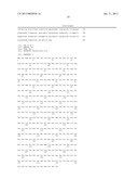 BIOSYNTHETIC SYSTEM THAT PRODUCES IMMUNOGENIC POLYSACCHARIDES IN     PROKARYOTIC CELLS diagram and image