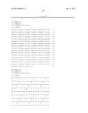 BIOSYNTHETIC SYSTEM THAT PRODUCES IMMUNOGENIC POLYSACCHARIDES IN     PROKARYOTIC CELLS diagram and image