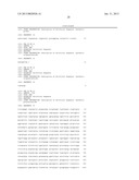 BIOSYNTHETIC SYSTEM THAT PRODUCES IMMUNOGENIC POLYSACCHARIDES IN     PROKARYOTIC CELLS diagram and image