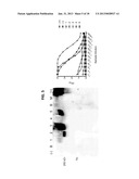 METHOD OF DIAGNOSING AND TREATING MELIOIDOSIS diagram and image