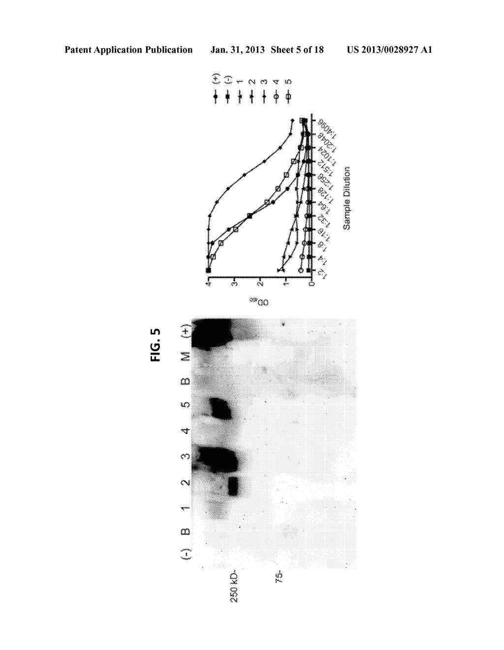 METHOD OF DIAGNOSING AND TREATING MELIOIDOSIS - diagram, schematic, and image 06