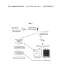 METHOD OF DIAGNOSING AND TREATING MELIOIDOSIS diagram and image