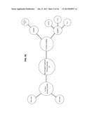 METHOD OF DIAGNOSING AND TREATING MELIOIDOSIS diagram and image