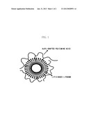 Polymer-Liposome Nanocomposite Composition for Percutaneous Absorption,     and Method for Preparing Same diagram and image