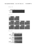 PHARMACEUTICAL COMPOSITION FOR TREATING CANCER diagram and image