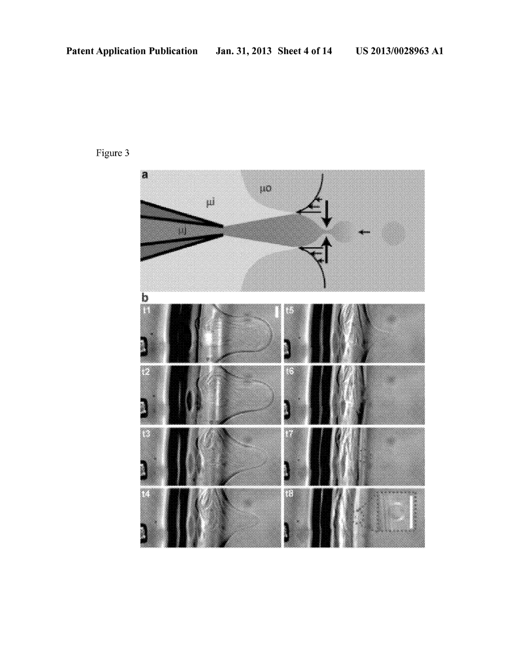 Forming an Artificial Cell with controlled membrane composition,     asymmetry, and contents - diagram, schematic, and image 05