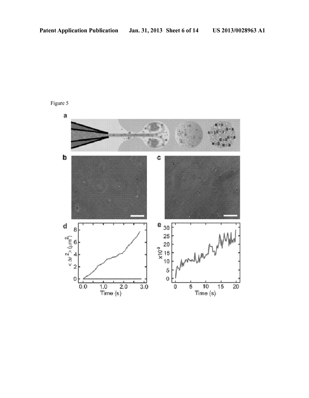 Forming an Artificial Cell with controlled membrane composition,     asymmetry, and contents - diagram, schematic, and image 07