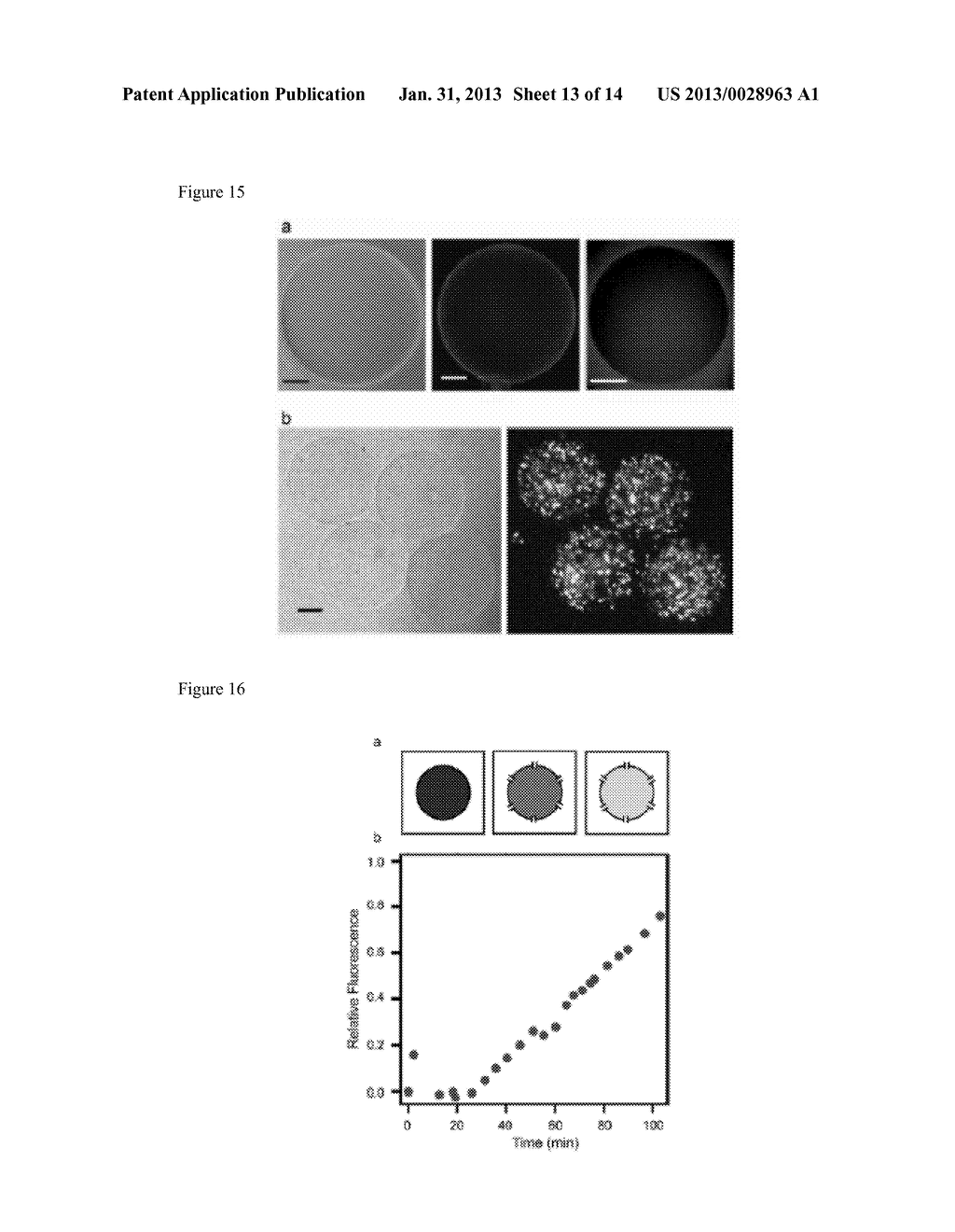 Forming an Artificial Cell with controlled membrane composition,     asymmetry, and contents - diagram, schematic, and image 14