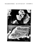 PARTICULATE COMPRISING A CALCIUM-CONTAINING COMPOUND AND A SUGAR ALCOHOL diagram and image