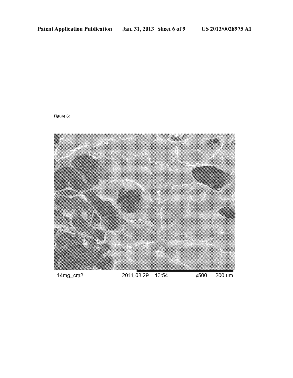 HEMOSTATIC SPONGE - diagram, schematic, and image 07