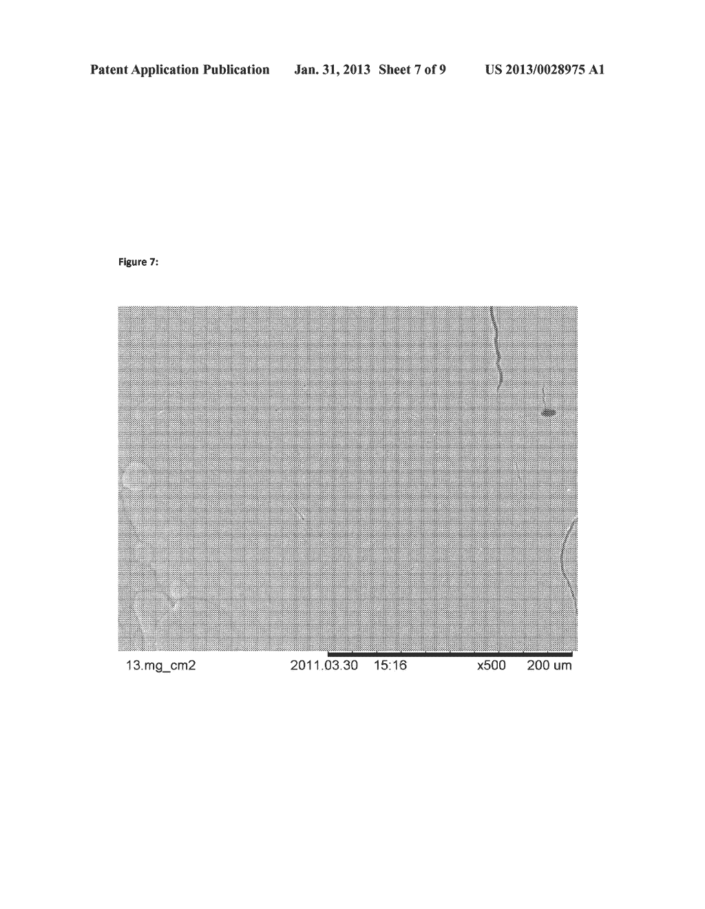 HEMOSTATIC SPONGE - diagram, schematic, and image 08