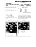 EDIBLE COATING COMPOSITION AND USES THEREOF diagram and image