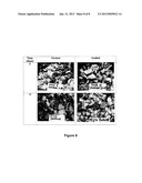 EDIBLE COATING COMPOSITION AND USES THEREOF diagram and image