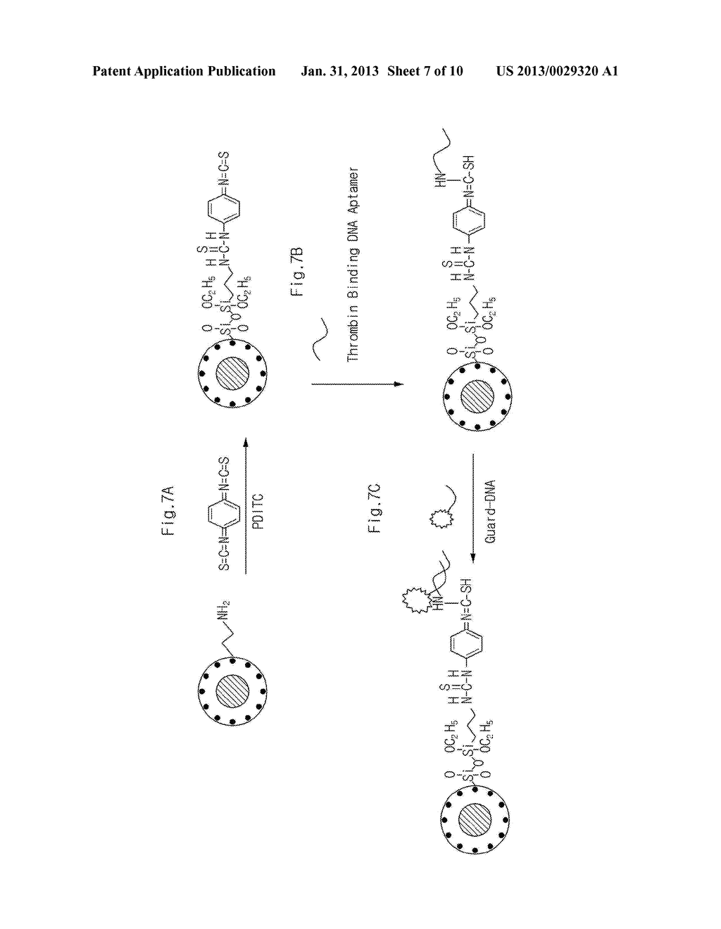 DEVICE AND METHOD FOR DETECTING BIOMOLECULE - diagram, schematic, and image 08