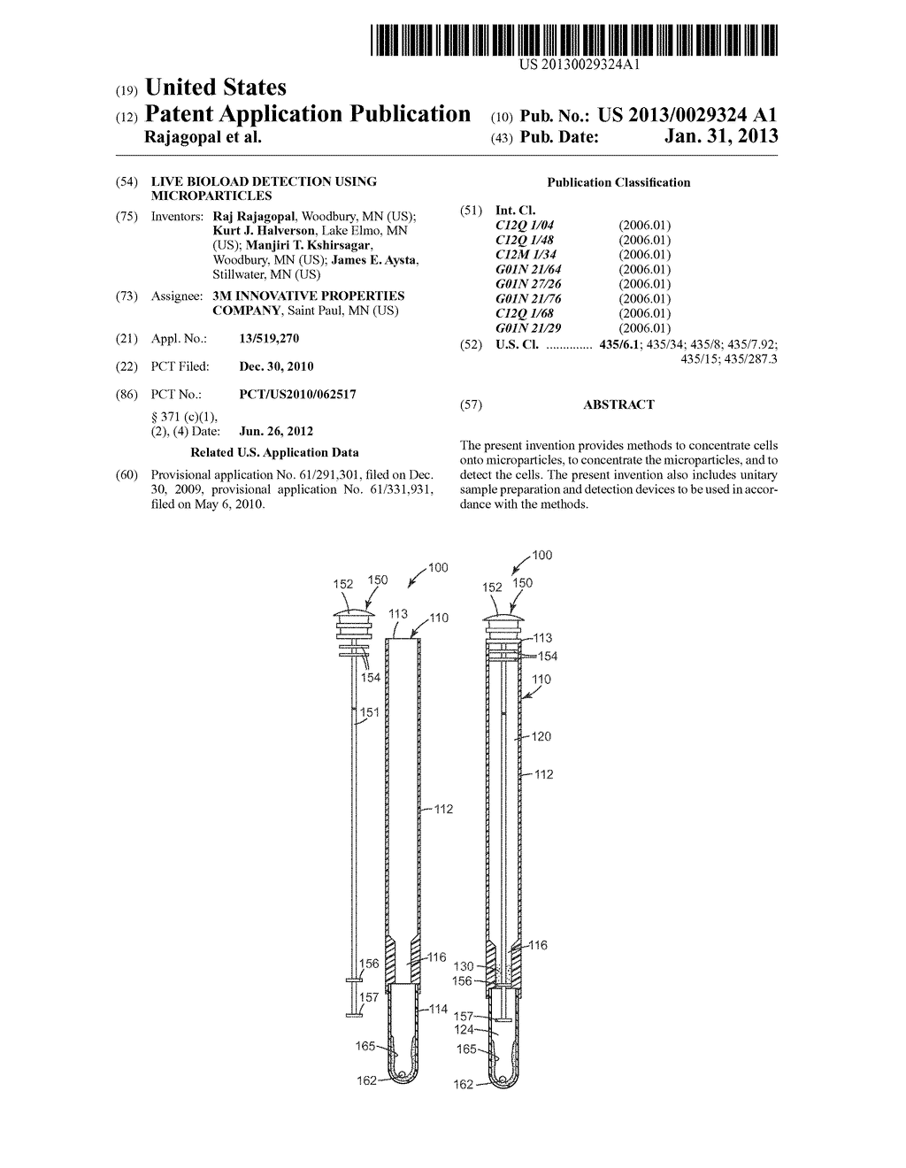 LIVE BIOLOAD DETECTION USING MICROPARTICLES - diagram, schematic, and image 01