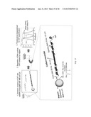 Magnetic Bead Quantum Dot Nanoparticle Assay diagram and image