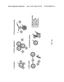 Magnetic Bead Quantum Dot Nanoparticle Assay diagram and image