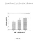 Magnetic Bead Quantum Dot Nanoparticle Assay diagram and image