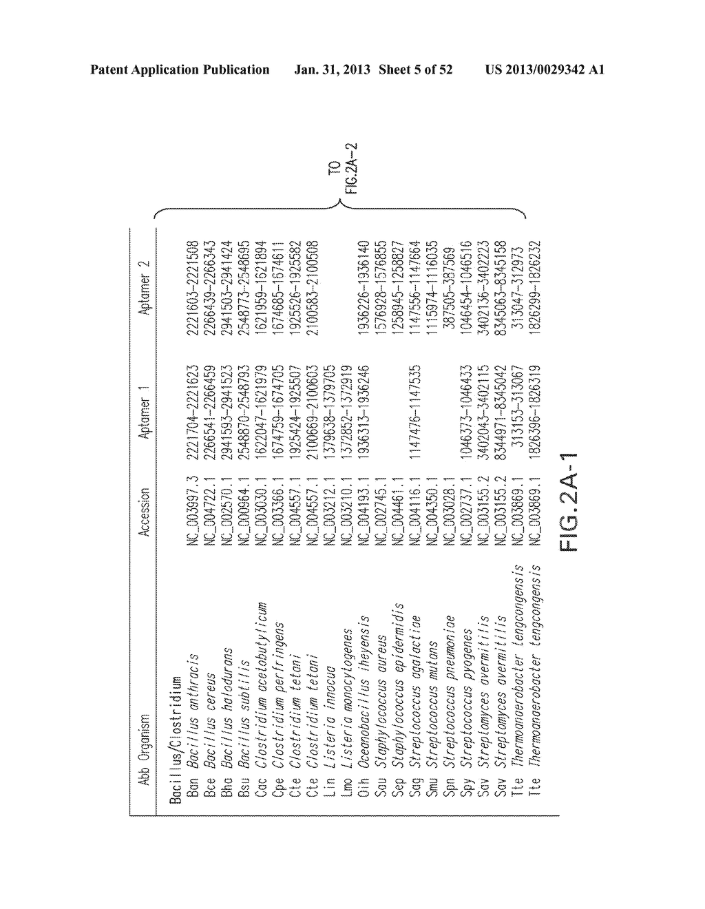 GLYCINE RIBOSWITCHES, METHODS FOR THEIR USE, AND COMPOSITIONS FOR USE WITH     GLYCINE RIBOSWITCHES - diagram, schematic, and image 06