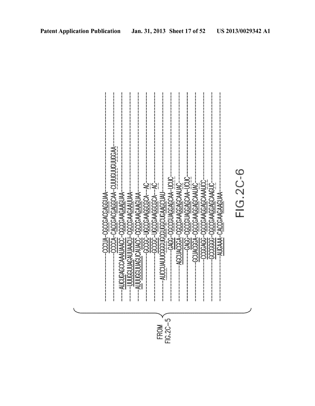 GLYCINE RIBOSWITCHES, METHODS FOR THEIR USE, AND COMPOSITIONS FOR USE WITH     GLYCINE RIBOSWITCHES - diagram, schematic, and image 18