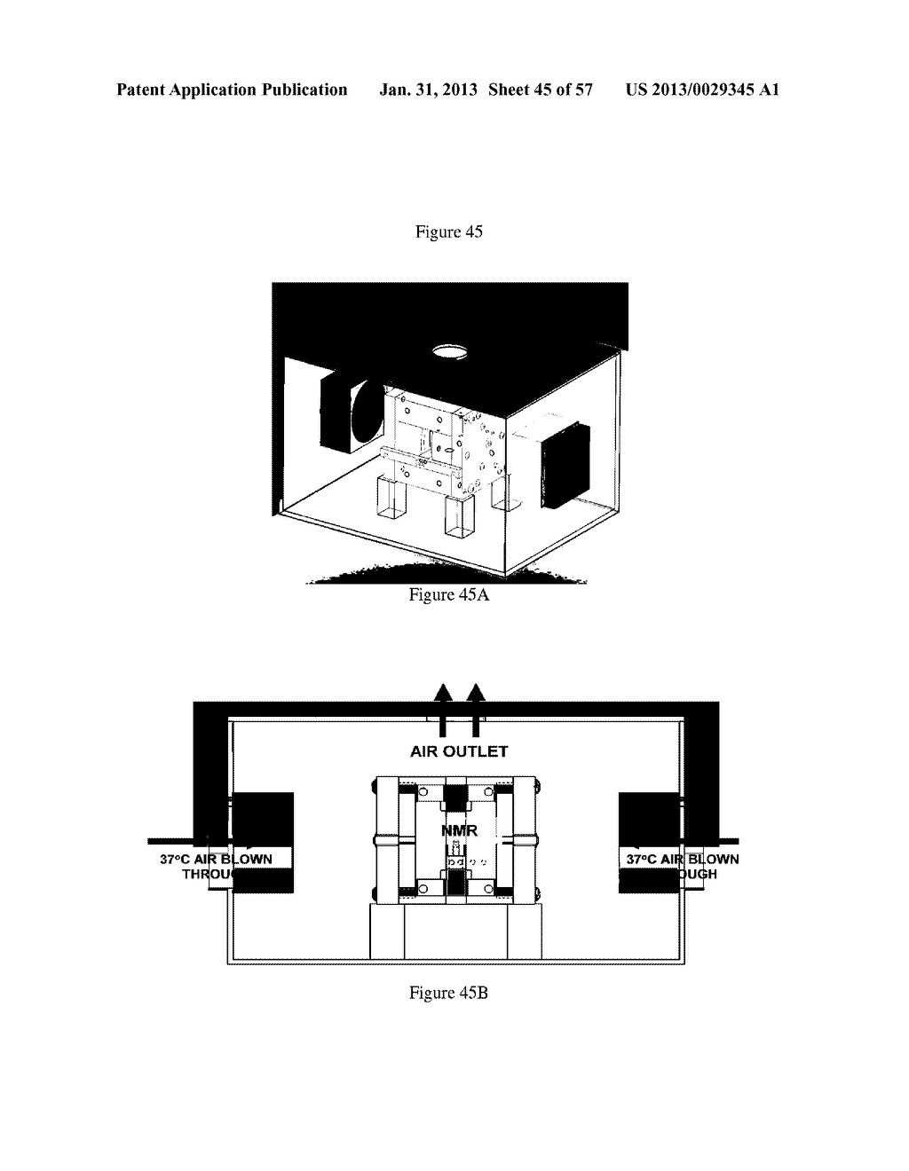 NMR SYSTEMS AND METHODS FOR THE RAPID DETECTION OF ANALYTES - diagram, schematic, and image 46