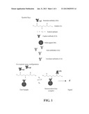 AUTOANTIBODY ENHANCED IMMUNOASSAYS AND KITS diagram and image