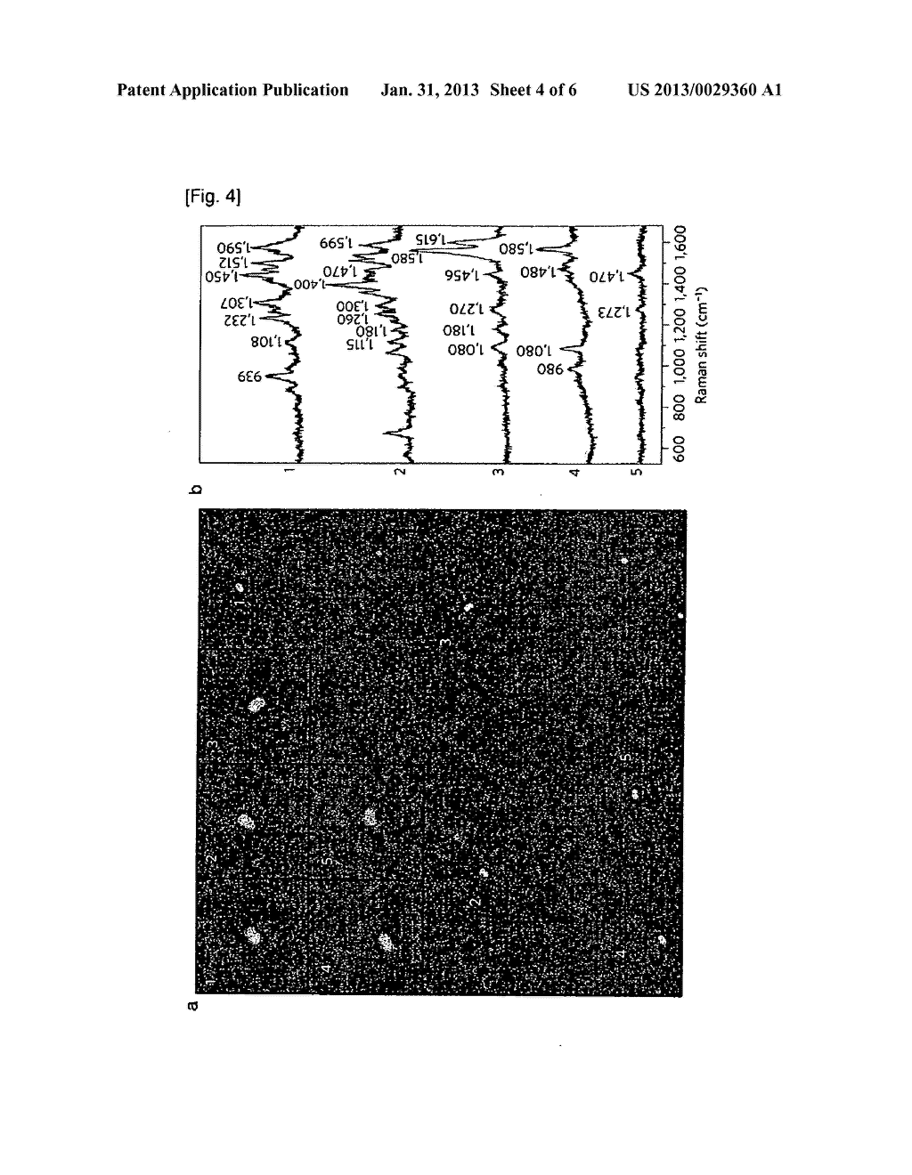 DIMERIC CORE-SHELL NANOSTRUCTURE LABELED WITH RAMAN ACTIVE MOLECULE     LOCALIZED AT INTERPARTICLE JUNCTION, USE THEREOF, AND METHOD FOR     PREPARING THE SAME - diagram, schematic, and image 05