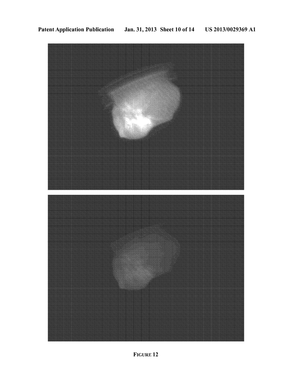 BIMODAL STAR POLYMER ARCHITECTURES AS FLUORESCENT AND MRI IMAGING REAGENTS - diagram, schematic, and image 11